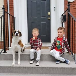 Meet your Posher, Lori-ann